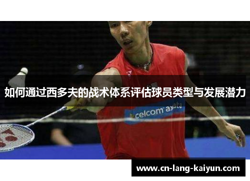 如何通过西多夫的战术体系评估球员类型与发展潜力