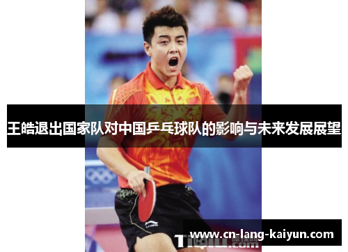 王皓退出国家队对中国乒乓球队的影响与未来发展展望