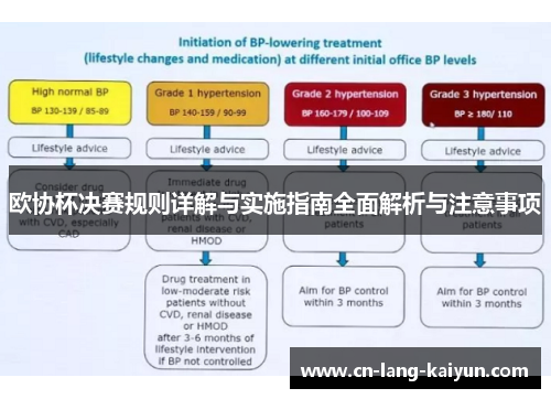 欧协杯决赛规则详解与实施指南全面解析与注意事项