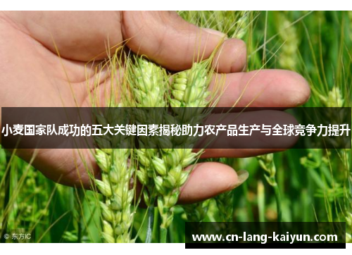 小麦国家队成功的五大关键因素揭秘助力农产品生产与全球竞争力提升
